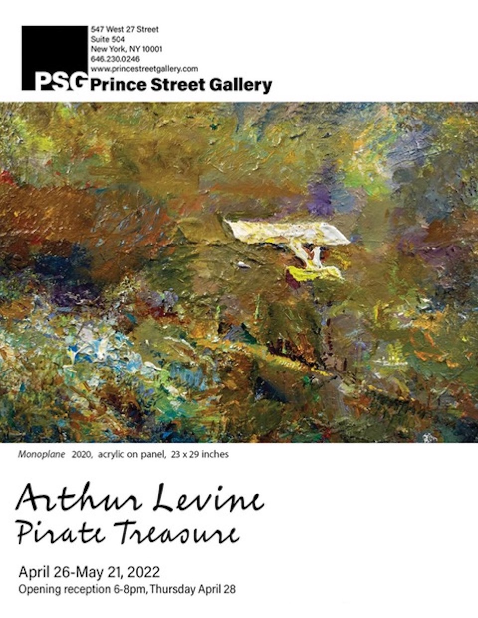Arthur Levine: Pirate Treasure