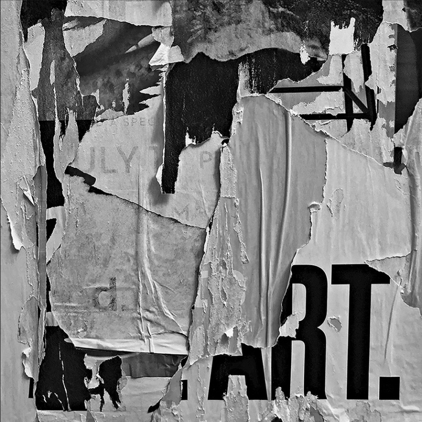 Stewart Siskind, FINDINGS